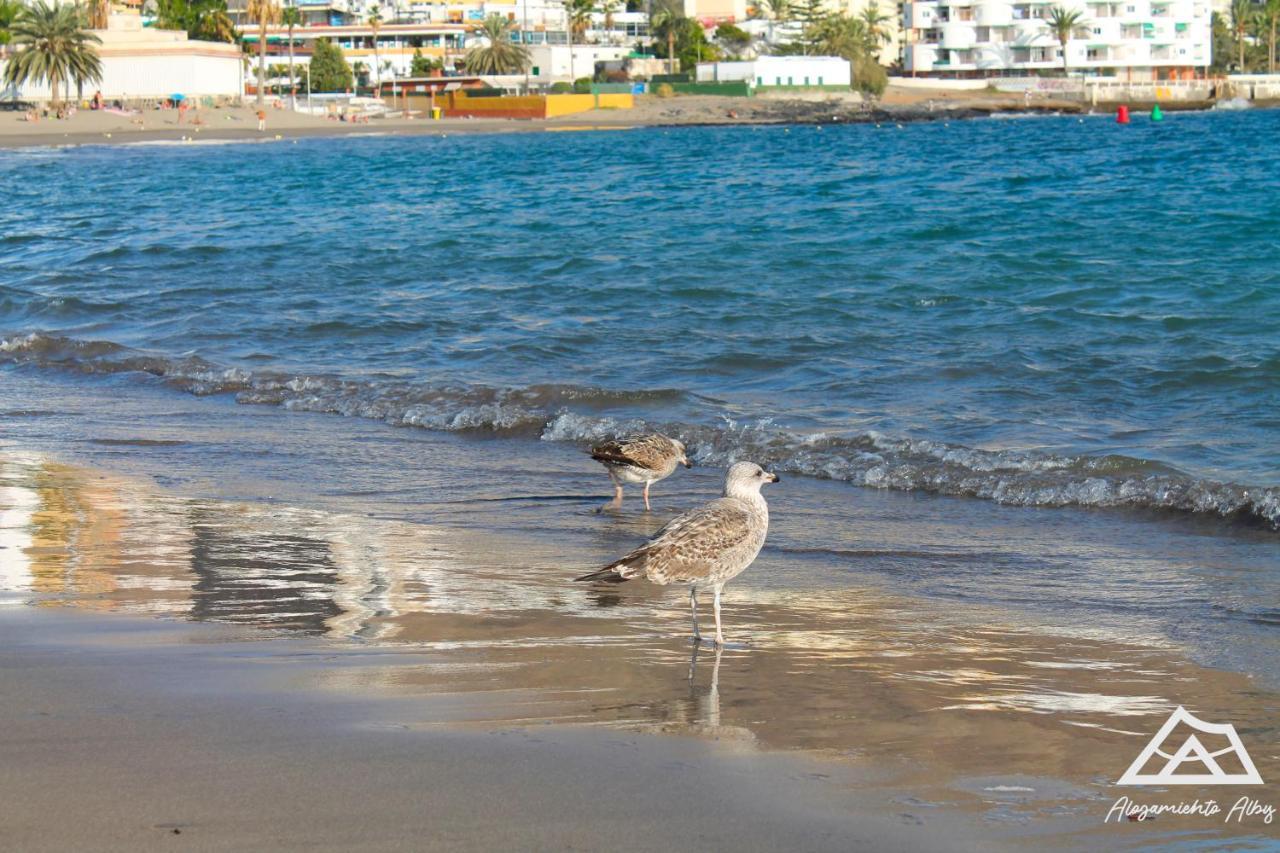 Apartamento Alojamiento Alby: Oceano Los Cristianos  Exterior foto